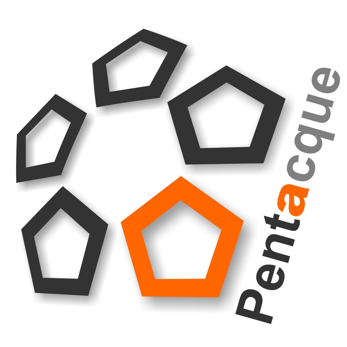 Pentacque srl logo