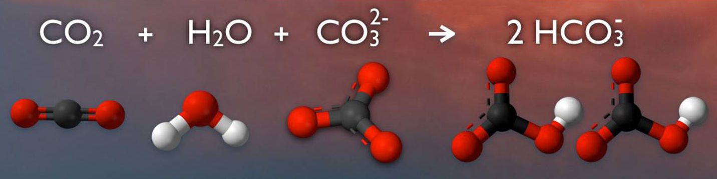 Impianti depurazione acidificazione acque